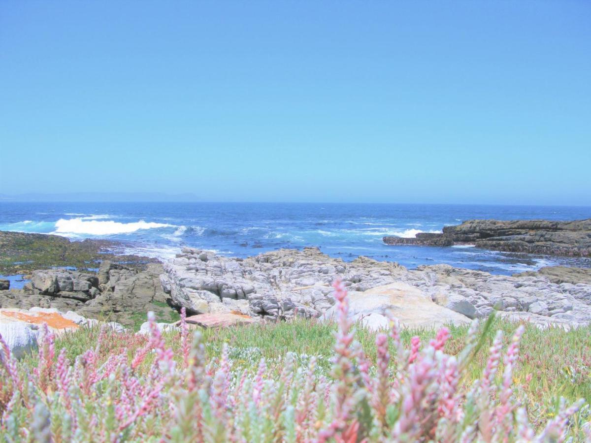 הוילה Beachfront House - Hermanus Whale View מראה חיצוני תמונה