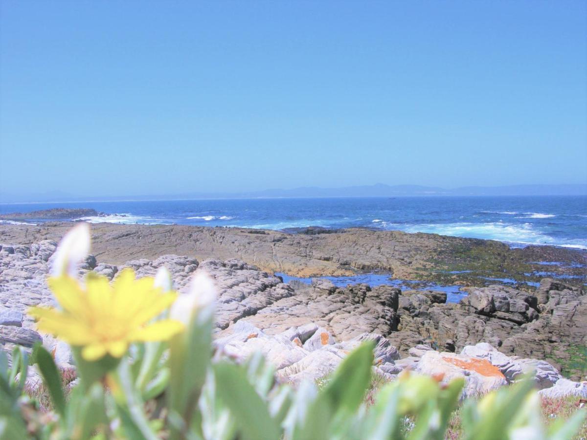 הוילה Beachfront House - Hermanus Whale View מראה חיצוני תמונה