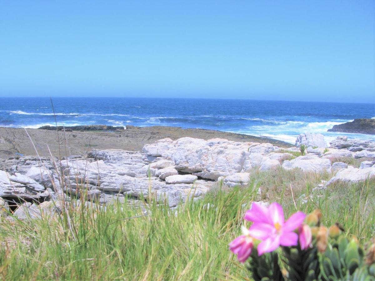 הוילה Beachfront House - Hermanus Whale View מראה חיצוני תמונה