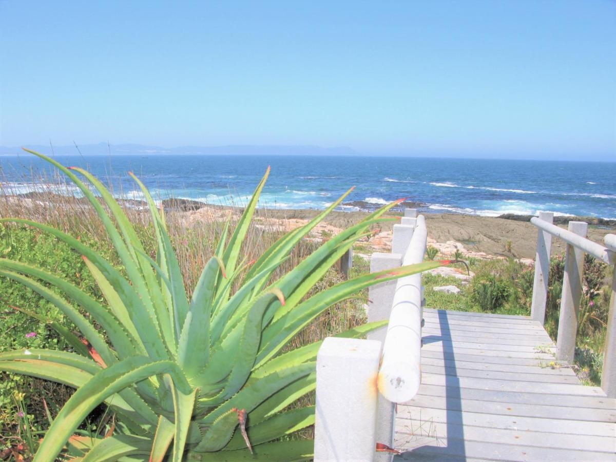 הוילה Beachfront House - Hermanus Whale View מראה חיצוני תמונה