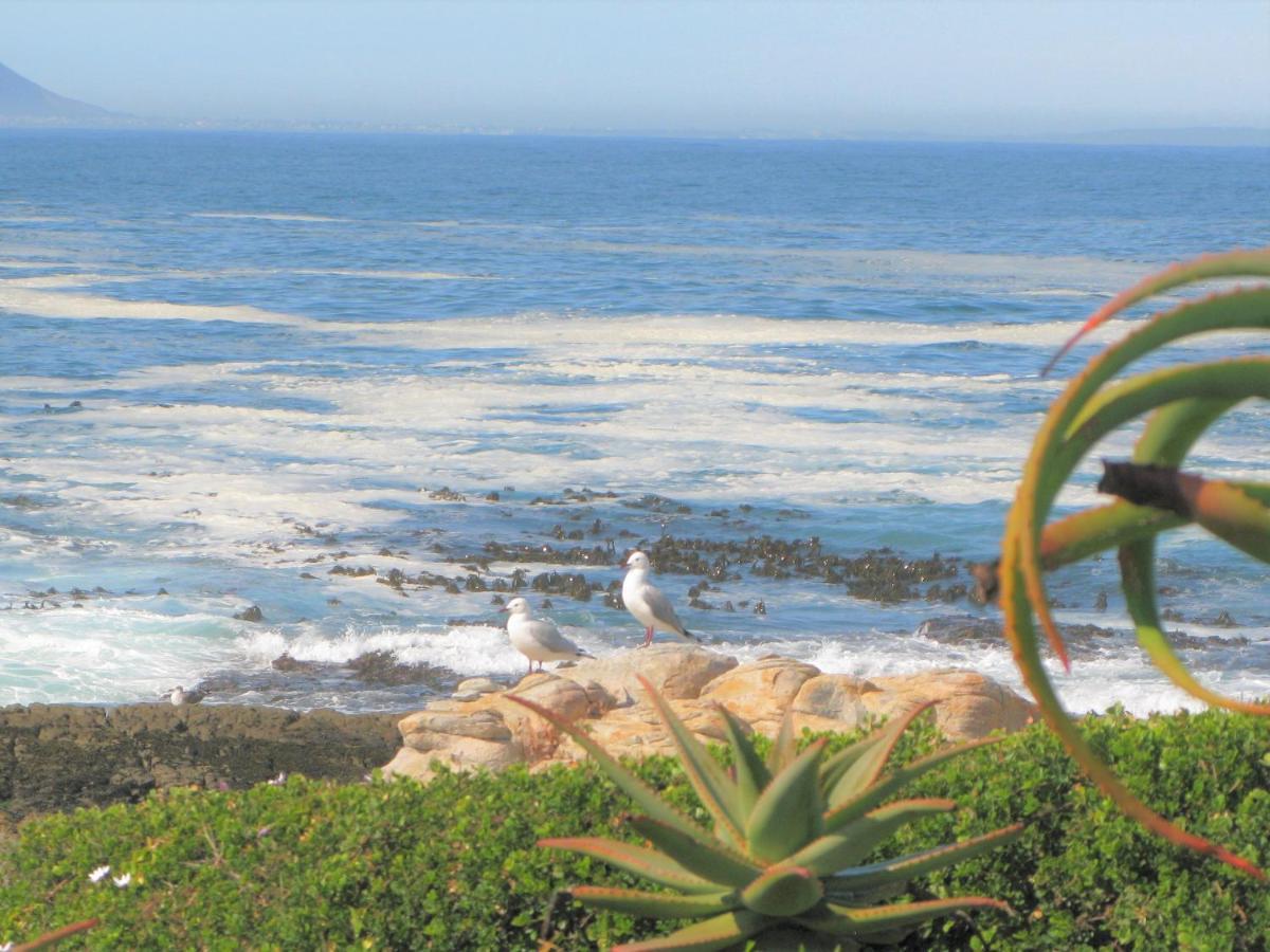 הוילה Beachfront House - Hermanus Whale View מראה חיצוני תמונה