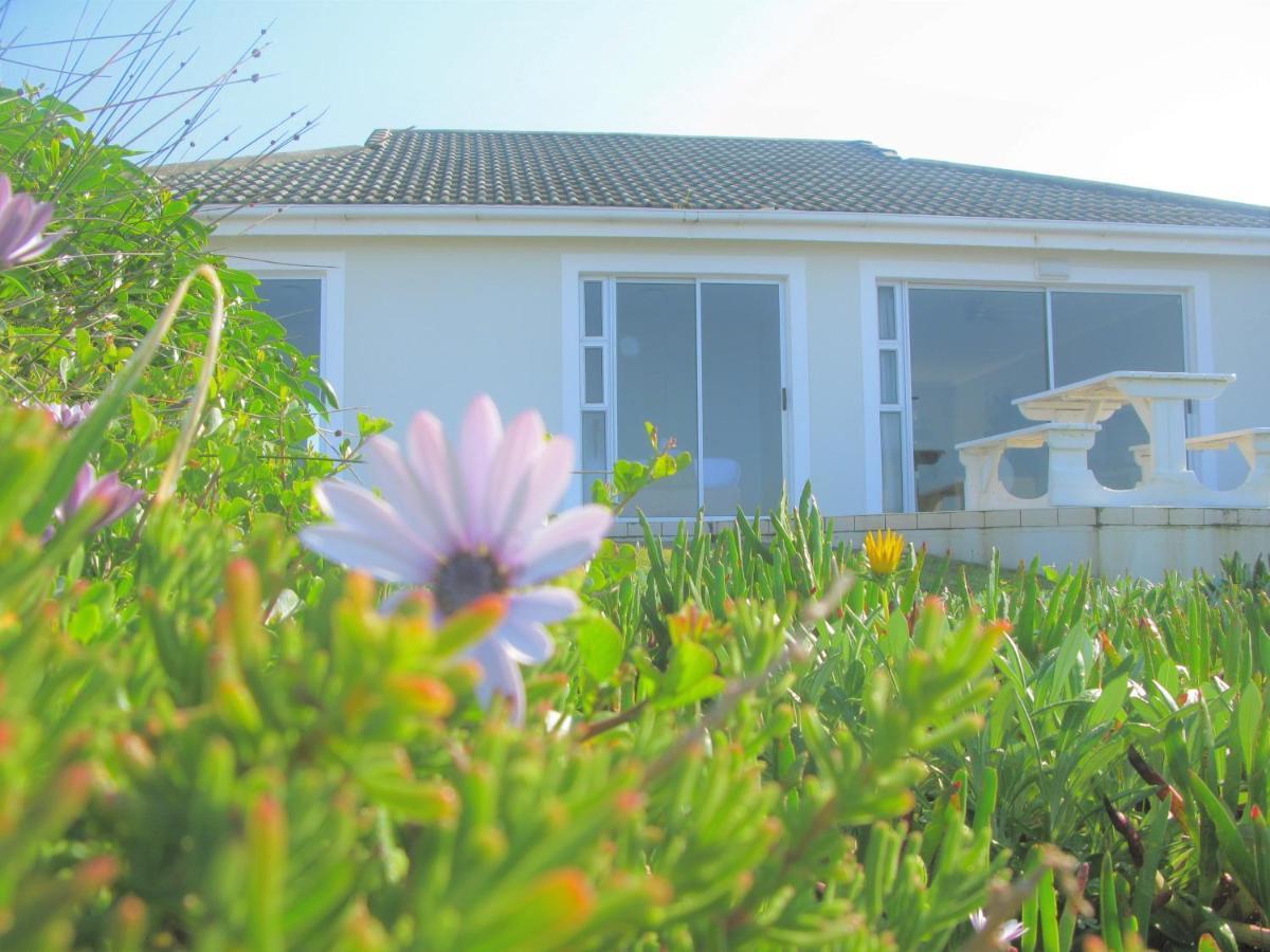 הוילה Beachfront House - Hermanus Whale View מראה חיצוני תמונה